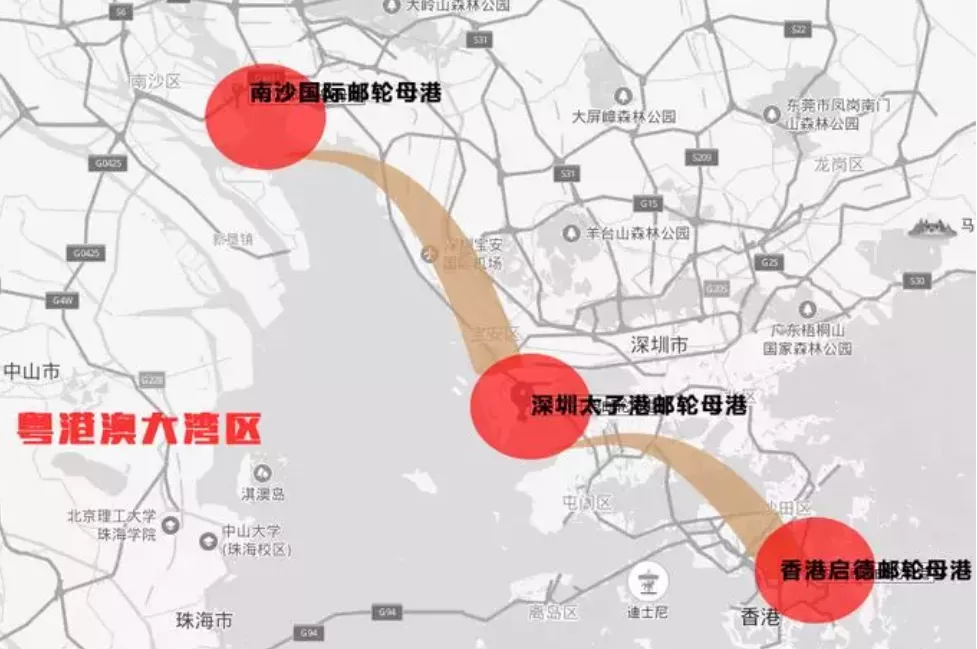 为什么深圳客偏爱南沙?(图10)