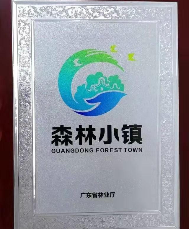 金科集美御峰| “森林小镇”核心住区,引领城市CLD生活(图6)