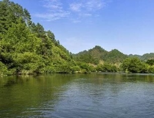 金科集美御峰| “森林小镇”核心住区,引领城市CLD生活(图7)