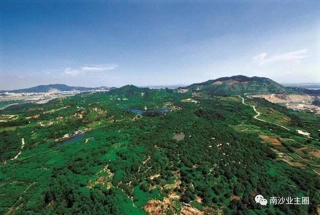 金科集美御峰| “森林小镇”核心住区,引领城市CLD生活(图8)